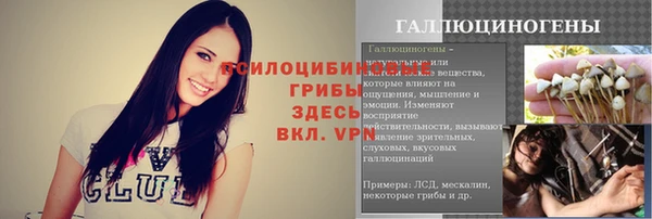 спиды Алзамай