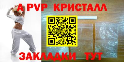 СК Новозыбков