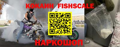 СК Новозыбков