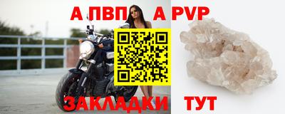 СК Новозыбков
