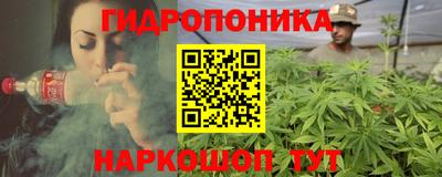 СК Новозыбков