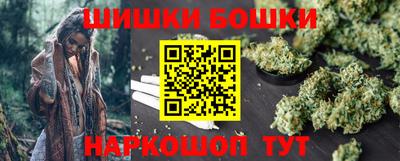 СК Новозыбков