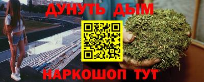 СК Новозыбков