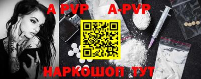 СК Новозыбков